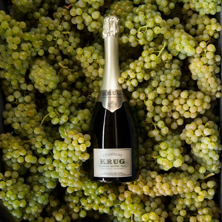 Krug Clos du Mesnil 2004 | Krug Champagne Krug Clos du Mesnil 2004 | Krug Champagne